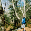 Ceddar-valley